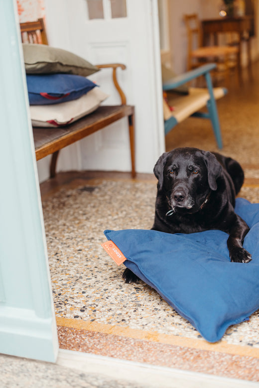 Heated pet beds